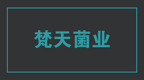 食品行业盐城盐都区工作服设计款式